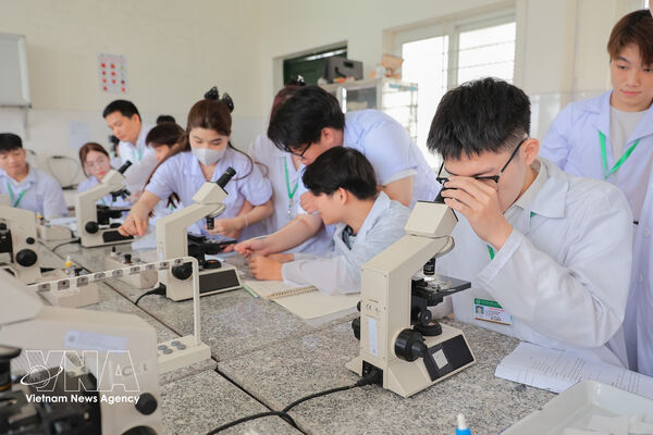 Digital capacity improvement needed for comprehensive human development