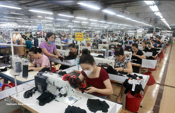 Vietnam takes major step toward sustainable business development: ILO