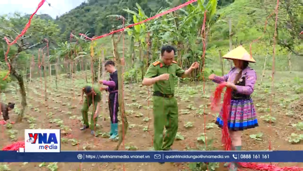 Hồi sinh ở thung lũng từng 