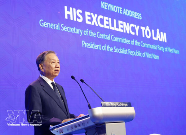 Vietnam seeks more dynamic development and more effective governance: Top leader