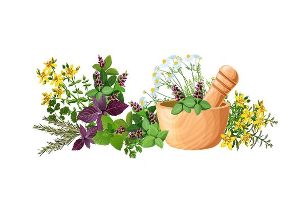 Party chief calls for stronger development of traditional medicine in new era
