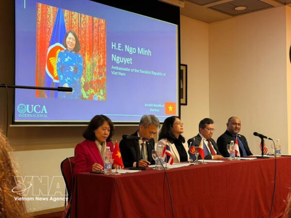 Vietnam reaffirms independent foreign policy, strategic autonomy: Ambassador
