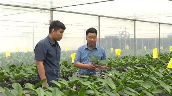 Đại hội IX Hội Nông dân Việt Nam: Xây dựng nền nông nghiệp hiện đại, thân thiện
