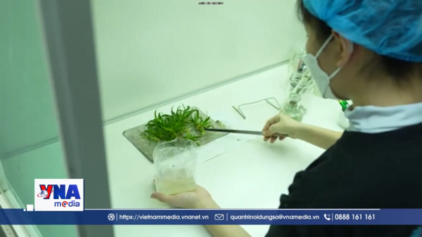 Đổi mới tư duy trong vận hành phòng thí nghiệm trọng điểm