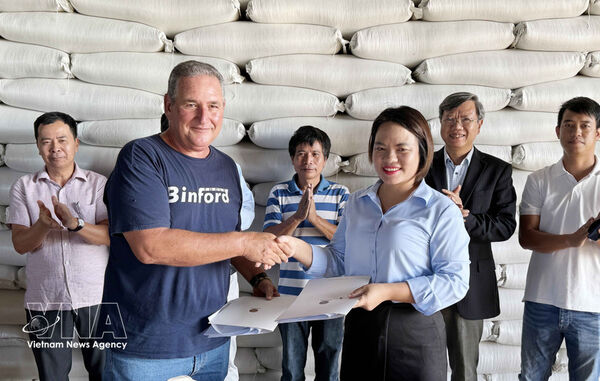 Vietnamese firm delivers 1,200 tonnes of rice to Cuba