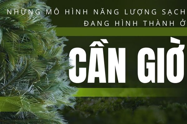 Những mô hình năng lượng sạch đang hình thành ở Cần Giờ