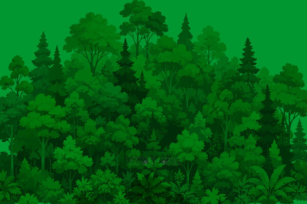 Top leader sets out six major tasks to advance a greener Vietnam