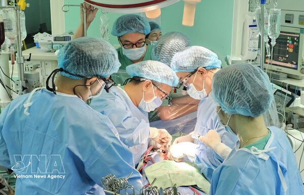 Six patients given new lease on life through organ transplants from single donor
