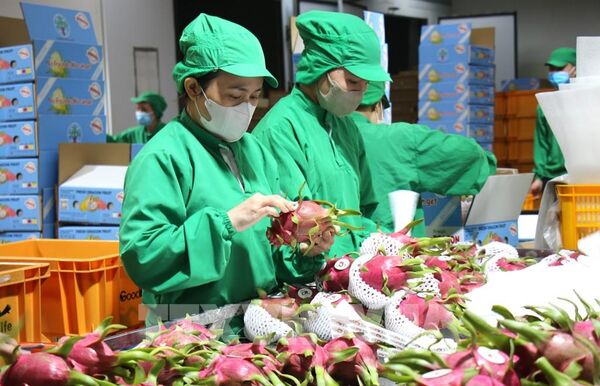 Khai thác năng lực doanh nghiệp nhỏ và vừa: Cơ hội cho tăng trưởng 2 con số