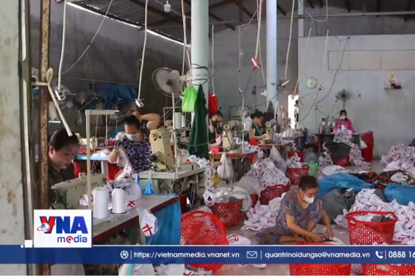 Vĩnh Long: Đồng hành cùng phụ nữ xây dựng sinh kế bền vững