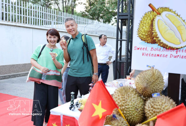 Vietnamese fruit expands foothold in Chinese market