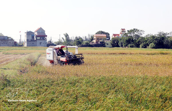 Plan issued to develop agricultural logistics system