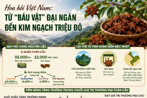 Hoa hồi Việt Nam: Từ 