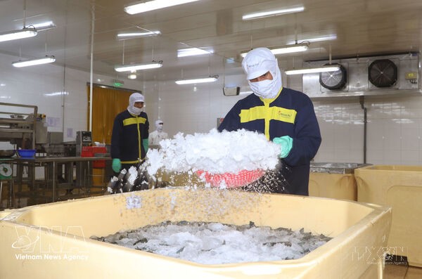 1,000-pioneering-firms programme aims to elevate Vietnam’s private sector