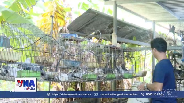 Phát huy hiệu quả của chính sách tín dụng trong giảm nghèo