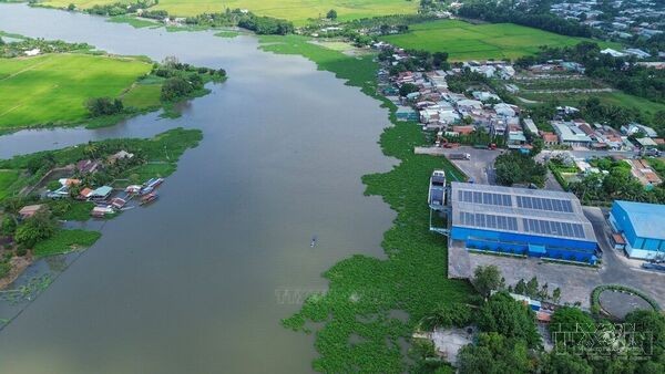 Tay Ninh steps up investment attraction for modern trade and logistics infrastructure