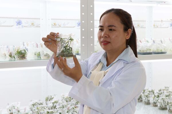 <b>Trọng dụng nhân tài - “chìa khóa” nâng tầm hội nhập quốc tế</b>