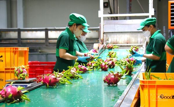 Ngành nông nghiệp TP. Hồ Chí Minh tăng tốc cho mục tiêu tăng trưởng hai con số