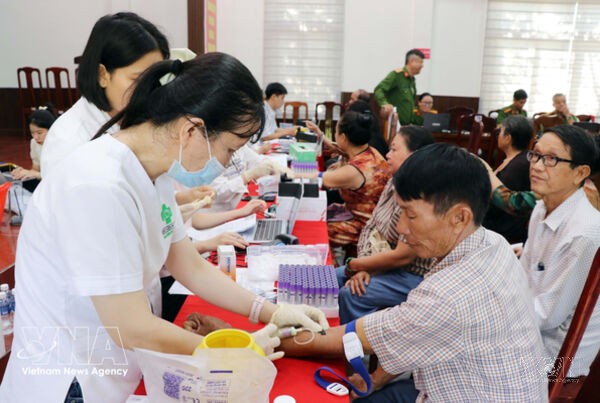 Khanh Hoa collects DNA samples from relatives of unidentified fallen martyrs