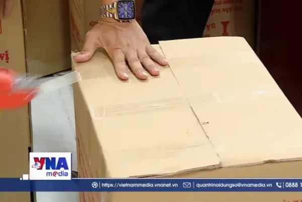 Sắp xếp trường học: Tinh gọn bộ máy, nâng chất lượng giáo dục