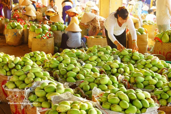 Trade drives growth momentum for Vietnam's economy in seven months