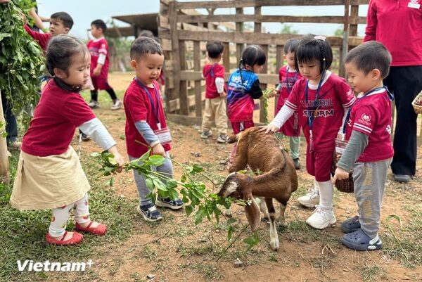 Phát triển du lịch bền vững từ trải nghiệm nông nghiệp gắn với văn hóa bản địa