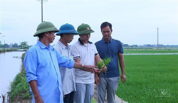 Chuyển biến tích cực từ đội ngũ cán bộ trẻ gần dân, sát dân