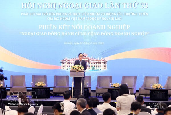 Diplomacy to accompany businesses in expanding Vietnam's development space