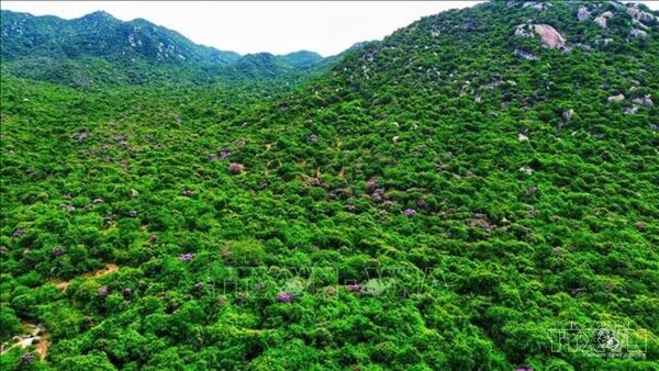 Kết luận số 75-KL/TW: Bảo vệ môi trường và ứng phó với biến đổi khí hậu để nâng cao chất lượng tăng trưởng