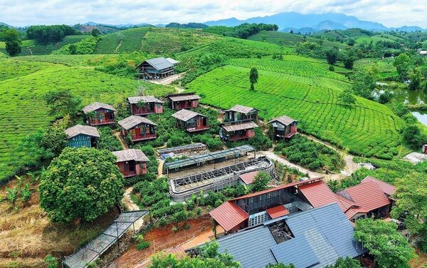 Tinh gọn bộ máy: Từng bước thích ứng với yêu cầu mới