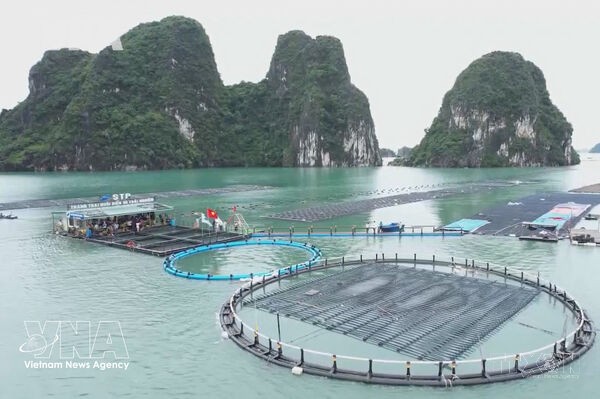 Marine farming emerges as a new growth engine