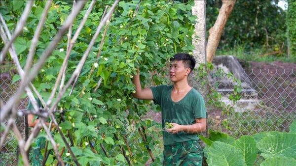 Phát huy nguồn nhân lực trẻ sau những tháng ngày quân ngũ