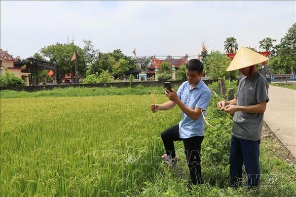 Trưởng thôn 9X với 