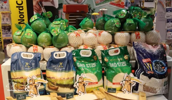 ST25 rice officially enters Selgros wholesale supermarket chain in Germany