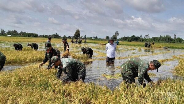 Tay Ninh proactively responding to floods to protect agricultural production in Dong Thap Muoi