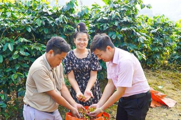 Đảng viên trẻ vùng cao tiên phong mở lối thoát nghèo