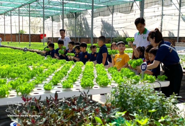 Agricultural sector targets full online public services by 2027