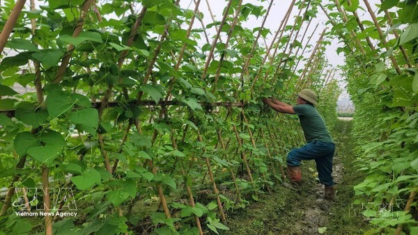 Vietnam fine-tuning Extended Producer Responsibility policy to promote circular economy