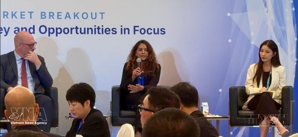 Singapore’s experience offers lessons for Vietnam