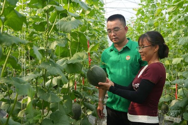 Nghe An applies high technology to livestock farming and agricultural production