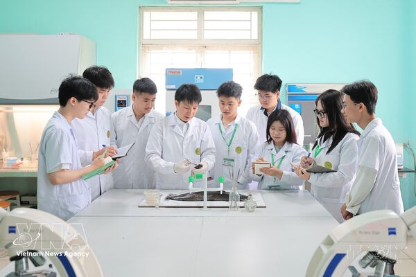 Vietnam leans on digital workforce to unlock productivity boom