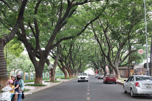 Buon Ma Thuot, a city beneath ancient trees