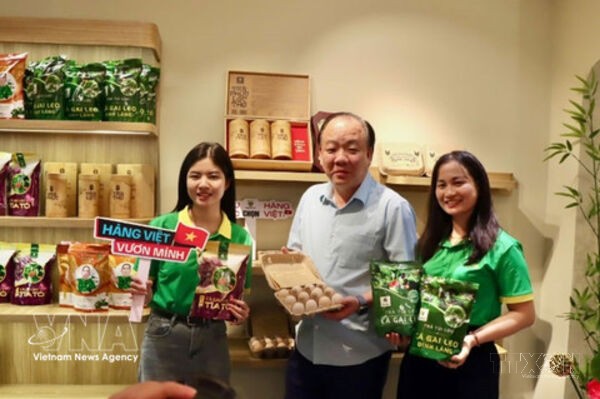 Digitalisation boosts Vietnamese goods