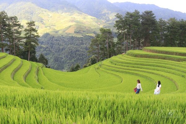 Vẻ đẹp ruộng bậc thang vùng cao Mù Cang Chải