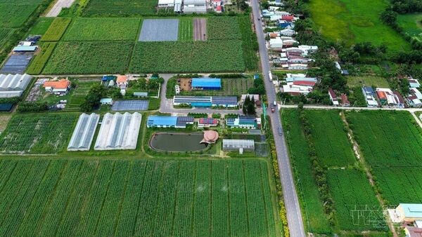 Ethnic Minorities in Tay Ninh’s living standards improved thanks to practical policies