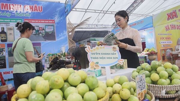Tay Ninh seeks solutions to unlock sustainable agricultural development