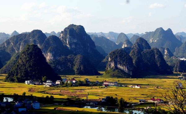 Cao Bằng: Thung lũng Ngọc Côn mùa vàng
