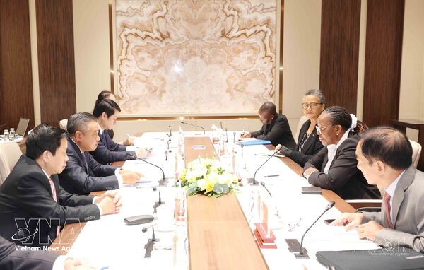Vietnam shares inspection experience with FRELIMO Party delegation