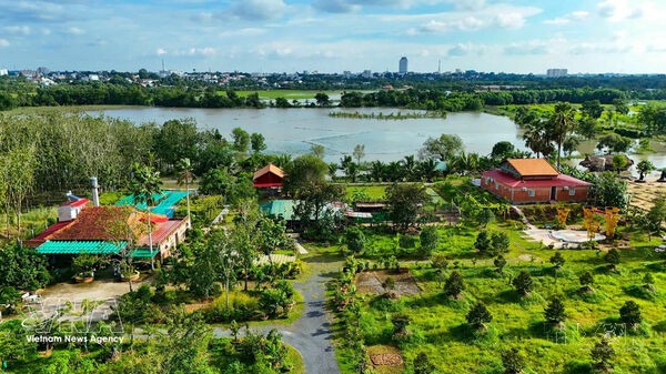 Green startups unlock higher value for Vietnamese agricultural products