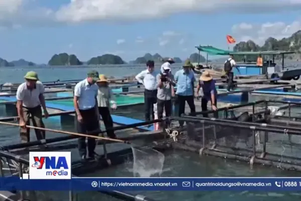 Ứng dụng công nghệ nâng giá trị thủy sản Quảng Ninh